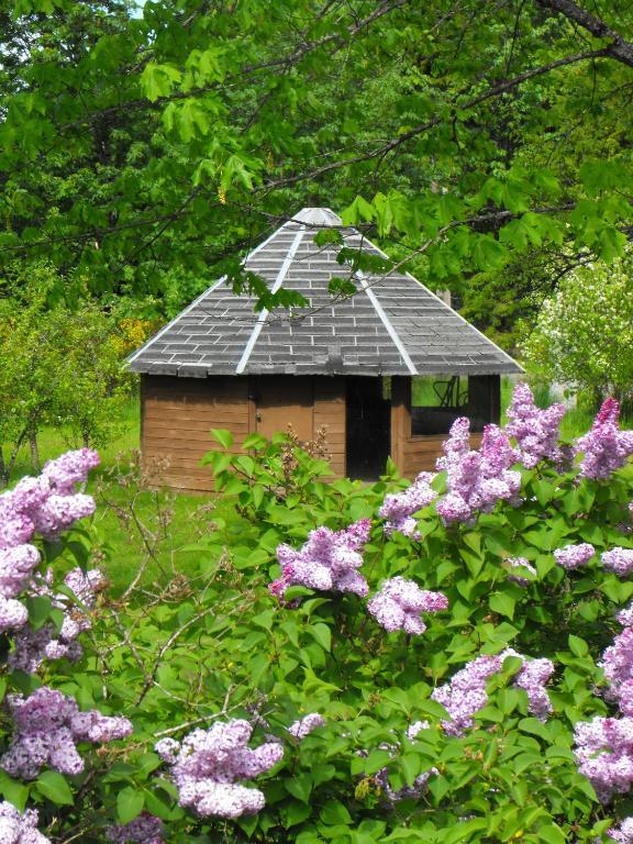 Lake Trail Guesthouse Cumberland Dış mekan fotoğraf
