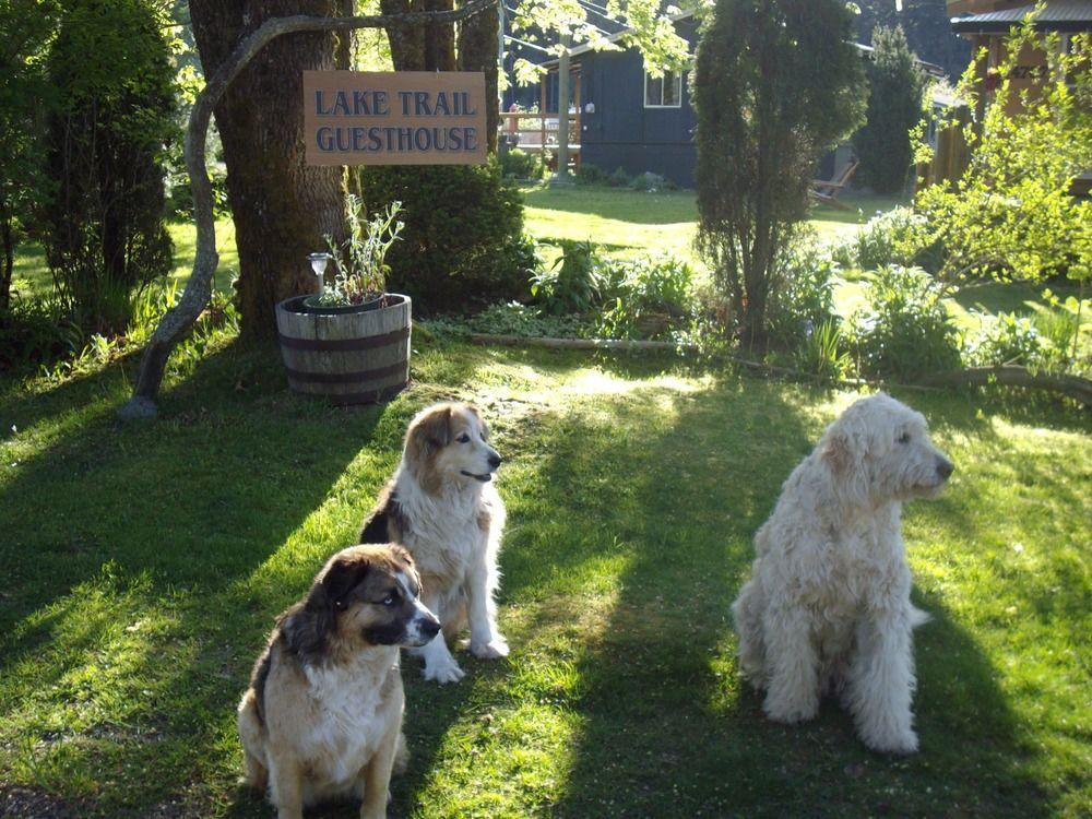 Lake Trail Guesthouse Cumberland Dış mekan fotoğraf
